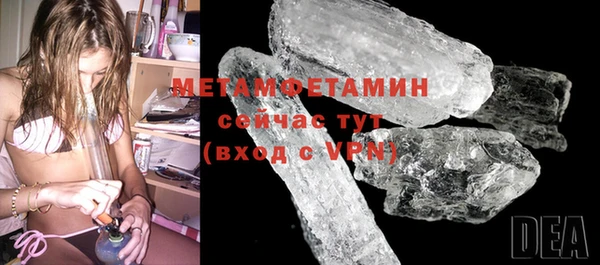 сатива Гусь-Хрустальный