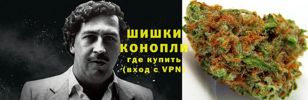 сатива Гусь-Хрустальный