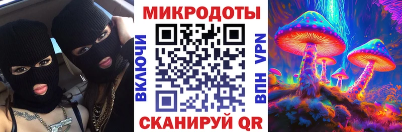 Псилоцибиновые грибы Cubensis  Прокопьевск 